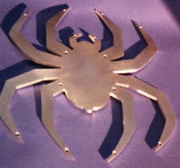 spider.jpg (7318 bytes)